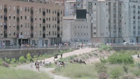 Ländlicher-Stierlauf-Mit-Stieren-Und-Pferden-In-Einer-Städtischen-Umgebung-Mit-Stadtgebäuden-Im-Hintergrund-In-Sagunto