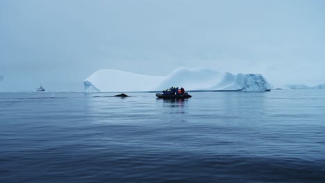 Excursión-En-Barco-Para-Observar-Ballenas-En-La-Antártida-Con-Cola-De-Ballena-En-Un-Paisaje-De-Iceberg-En-El-Hielo-Invernal-De-La-Península-Antártica,-Personas-Viajando-En-Un-Tour-En-Bote-Zodiac,-Un-Encuentro-único-Y-Sorprendente-De-Avistamiento-De-Vida-Silvestre