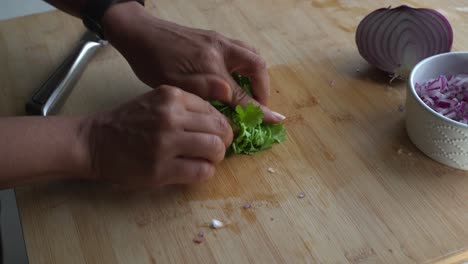 Folding-cilantro-bunched-leaves-into-small-pieces-for-garnish-and-flavor-special-ingredients-to-cook-a-meal-two-cans-of-beans-rice-plantain-avocado-red-onion-and-cilantro