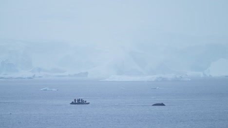 Antarctica-Boat-Trip-Tour-Excursion-in-Antarctic-Peninsula,-Antarctica-Peninsula-Travel-Experience-on-Southern-Ocean-Sea-Water-on-Zodiac-Boat-Adventure-in-Amazing-Unique-Travel-Experience