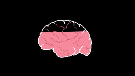 Human-brain-anatomy-icon-concept-animation-with-alpha-channel