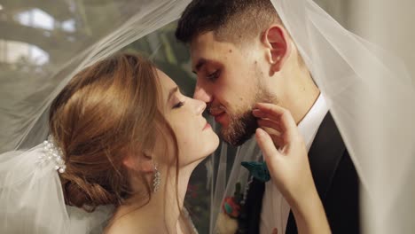 Newlyweds.-Caucasian-groom-with-bride-kissing-under-the-veil.-Wedding-couple