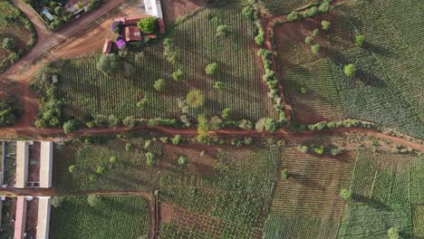 Paisaje-Rural-Idílico-De-Tierras-De-Cultivo-En-Kenia,-Vista-Aérea-Desde-Arriba