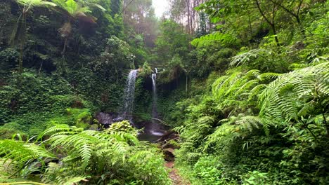 Der-Wasserfall-Ist-Vom-Gras-Aus-Sichtbar