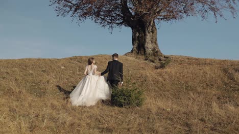 Recién-Casados.-Novio-Caucásico-Con-Novia-Cerca-De-Un-Hermoso-árbol-Otoñal.-Pareja-De-Novios