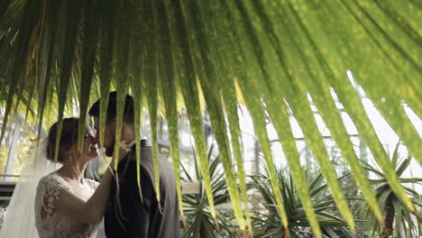 Newlyweds.-Caucasian-groom-with-bride-in-the-park.-Wedding-couple.-Happy-family