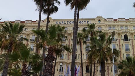 Palm-Trees-In-Front-Of-Carlton-Cannes-Hotel-On-Windy-Day-In-France