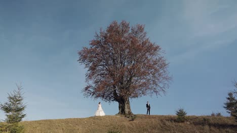 Frischvermählte.-Kaukasischer-Bräutigam-Mit-Braut-In-Der-Nähe-Eines-Schönen-Herbstbaums.-Hochzeitspaar