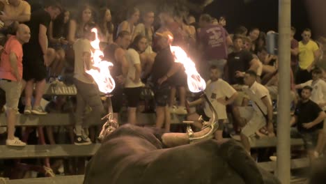 Rear-view-of-a-bull's-head-with-fireballs-in-its-horns-at-a-running-of-the-bulls-with-spectators-at-the-barrier-in-Sagunto