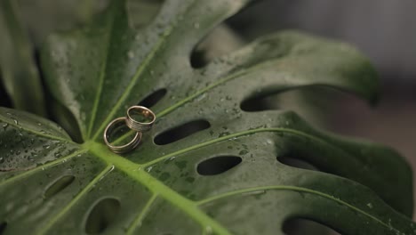 Trauringe-Auf-Einem-Grünen-Nassen-Blatt-Nach-Regen.-Hochzeitsdetails-Und-Accessoires