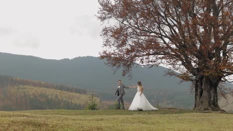 Lovely-young-newlyweds-bride-groom-walking-on-mountain-slope,-holding-hands,-wedding-couple-family