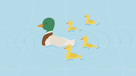 An-animation-of-Hand-drawn-mother-duck-and-ducklings-in-the-water