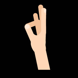 Eine-Animation-Einer-Sammlung-Flacher-Mudra-Hände