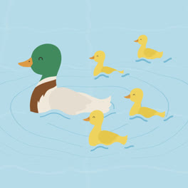 An-animation-of-Hand-drawn-mother-duck-and-ducklings-in-the-water