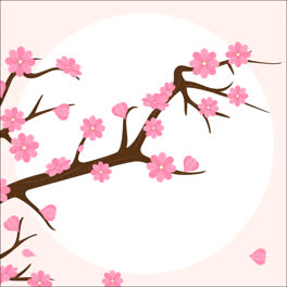 An-animation-of-Cherry-blossom-background