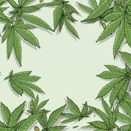 An-animation-of-Botanical-cannabis-leaf-background