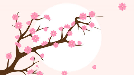 An-animation-of-Cherry-blossom-background