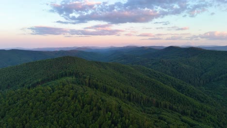 Drone-flies-over-fir-tree-forest-at-sunset-near-Gura-Humorului