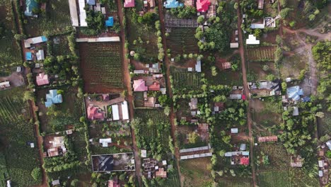 African-farming-village-in-Amboseli-region,-Kenya,-aerial-top-down-view