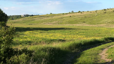 Kleine-Gruppe-Von-Rauchschwalben-Mit-Langem,-Tief-Gegabeltem-Schwanz,-Die-über-Eine-Grüne-Wiese-Mit-Feldweg-Fliegen