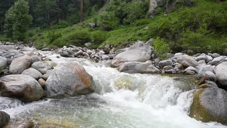 Clear-stream-flowing-over-rocks-in-a-lush-green-forest-setting