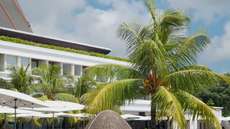 Wind-Blowing-On-Palm-Trees-At-Modern-Hotel-Garden-In-Uluwatu,-Bali,-Indonesia