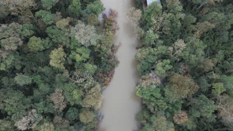 River-in-the-middle-of-rainforest-jungle-tree-canopy,-aerial-top-down-view