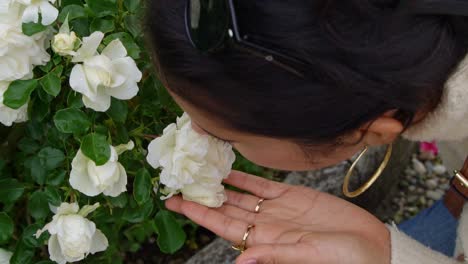 Young-female-smells-rose-flower,-close-up