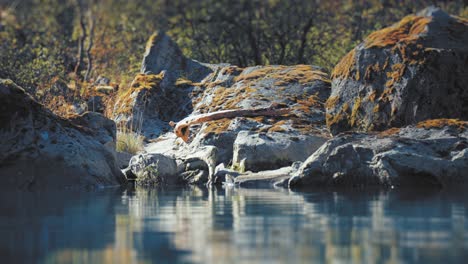 Felsige-Ufer-Des-Sees-Loenvatnet