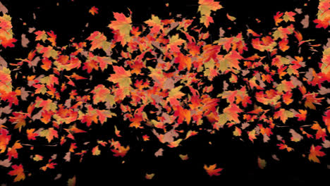 Herbstfarbenfrohe-Thanksgiving-Blätter-Fallen-In-Einer-Schleifenanimation-Mit-Alphakanal