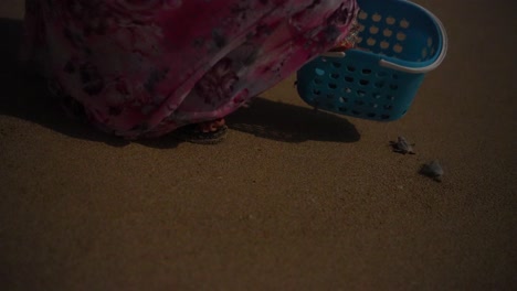 local-Arabian-woman-in-a-hijab-gently-releases-a-newborn-hawksbill-turtle-on-the-sandy-beach