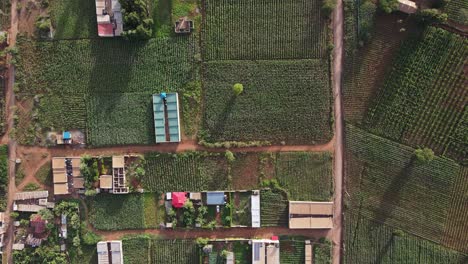 Vista-Desde-Arriba-De-Casas-Africanas-En-El-Campo-Entre-Campos-De-Cultivo.