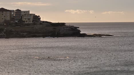 Blick-Auf-Schwimmer-Im-Meer-In-Der-Nähe-Von-North-Bondi-Bei-Sonnenaufgang