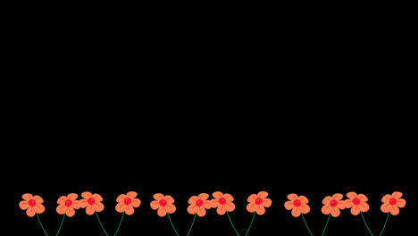 Tropical-summer-flowers-border-frame-animation-with-a-copy-space-area-looped-animation-with-Alpha-channel