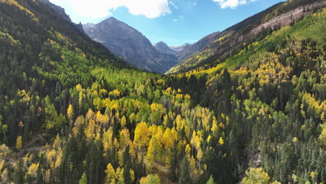 Vibrant-Yellow-and-Green-Trees-in-Telluride,-Colorado-Mountain-Valley,-Aerial-View