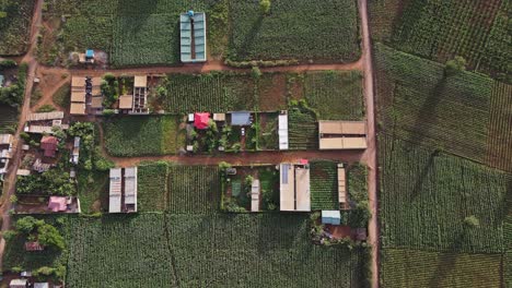 Rural-landscape-of-African-farming-village-Loitokitok,-Kenya,-aerial-top-down