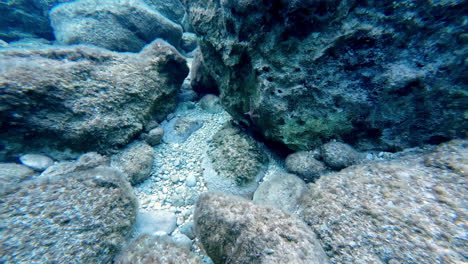 Unterwasserfotografie-Von-Tauchern,-POV-Ansicht