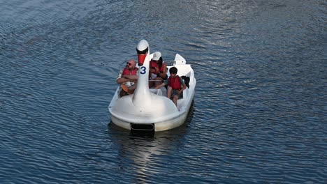 Pedalling-the-swan-in-London,-United-Kingdom