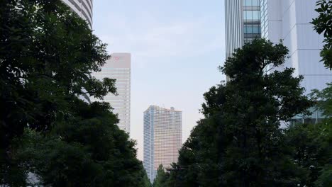 Cityscape-view-with-skyscrapers-framed-by-lush-green-trees-in-an-urban-setting