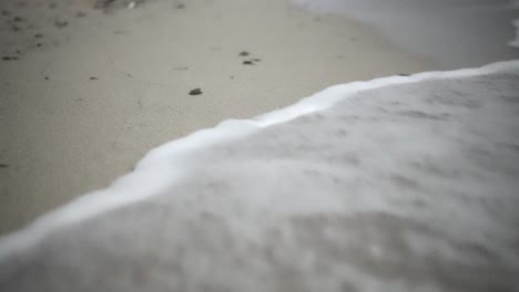 Las-Tortugas-Bebés-Se-Arrastran-Por-Una-Playa-De-Arena-Blanca-Y-Se-Dirigen-Hacia-El-Mar.-Vida-Salvaje-Nocturna.-Pueblo-Nocturno.-Aventura-En-Una-Noche-Brumosa.-La-Maravillosa-Naturaleza-De-Un-Hermoso-Paisaje-Costero-De-Fondo-Marrón-En-Irán.-Viaje.