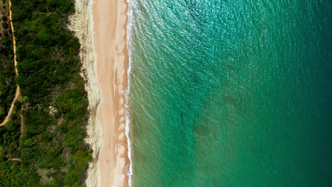 Top-down-Aerial-drone-shot-over-the-long-stretching-empty-sandy-beach-in-Corfu-in-Greece