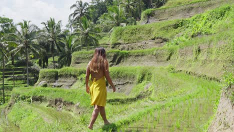 Women-in-yellow-dress-walking-bare-feet-across-rice-terraces-Bali,-Slow-motion