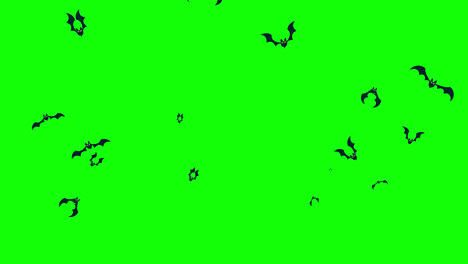 halloween-bat-flying-loop-motion-graphics-video-transparent-background-with-alpha-channel