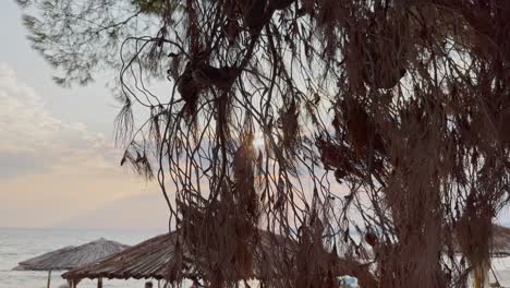 Clean-blue-flag-beaches-of-Halkidiki-Peninsula,-Greece