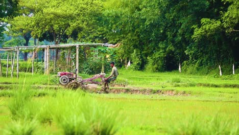 Asian-worker-is-ploughing-a-field-with-a-tractor-machine,-rural-view-in-south-asia-on-a-sunny-day,-strong-green-colors