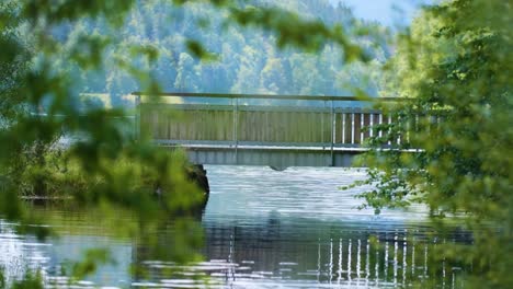 Wooden-pontoon-above-a-river-or-natural-lake-in-summer-with-plants-in-the-foreground