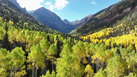 Vista-Aérea-Panorámica-Del-Bosque-Amarillo-Y-Verde-Con-Montañas-Y-Cielo-Azul-En-Telluride,-Colorado