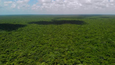 Vista-Aérea-De-Una-Densa-Jungla-Mexicana-Con-Sombras-Del-Cielo-Que-Resaltan-Las-Copas-De-Los-árboles.