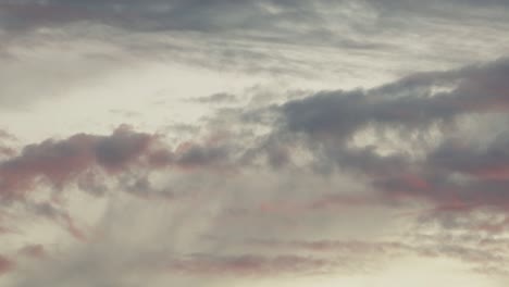 Pájaros-Volando-A-Través-De-Enormes-Nubes-Captando-Los-últimos-Rayos-Rojos-Del-Atardecer-Moviéndose-En-El-Cielo-Al-Anochecer,-Australia,-Gippsland,-Victoria,-Maffra