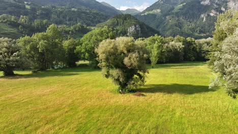 lush-green-meadow-surrounded-by-trees-and-mountains-in-Weesen,-Glarus,-Switzerland